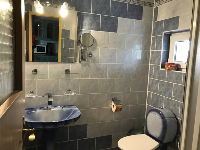 Koupelna apartmánu se sprchou